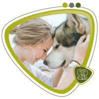 MASCOTASCubrimos gastos veterinarios por accidente o enfermedad, asegurando que tu fiel amigo reciba siempre la mejor atención médica sin afectar tu bolsillo. Más información